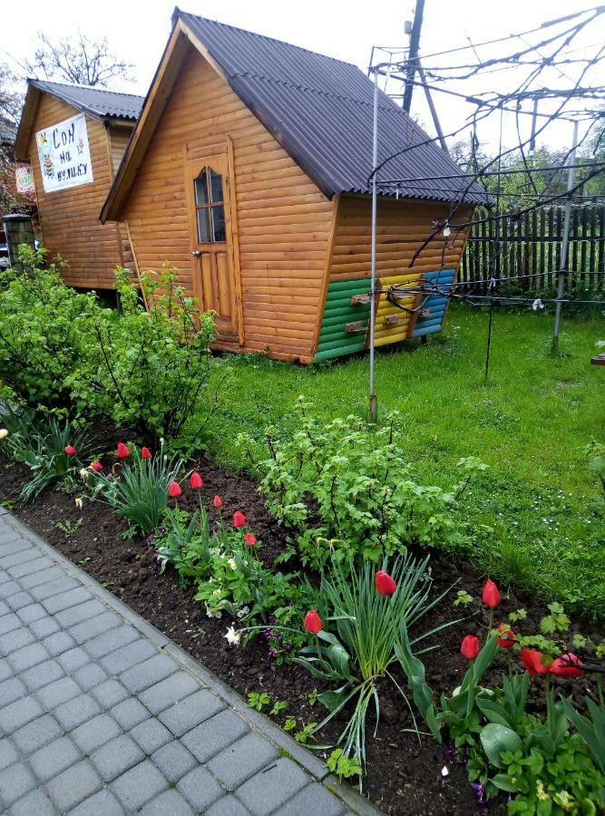 "У Пасічника" Котедж Для Сім'Ї Jaremtsje Eksteriør bilde